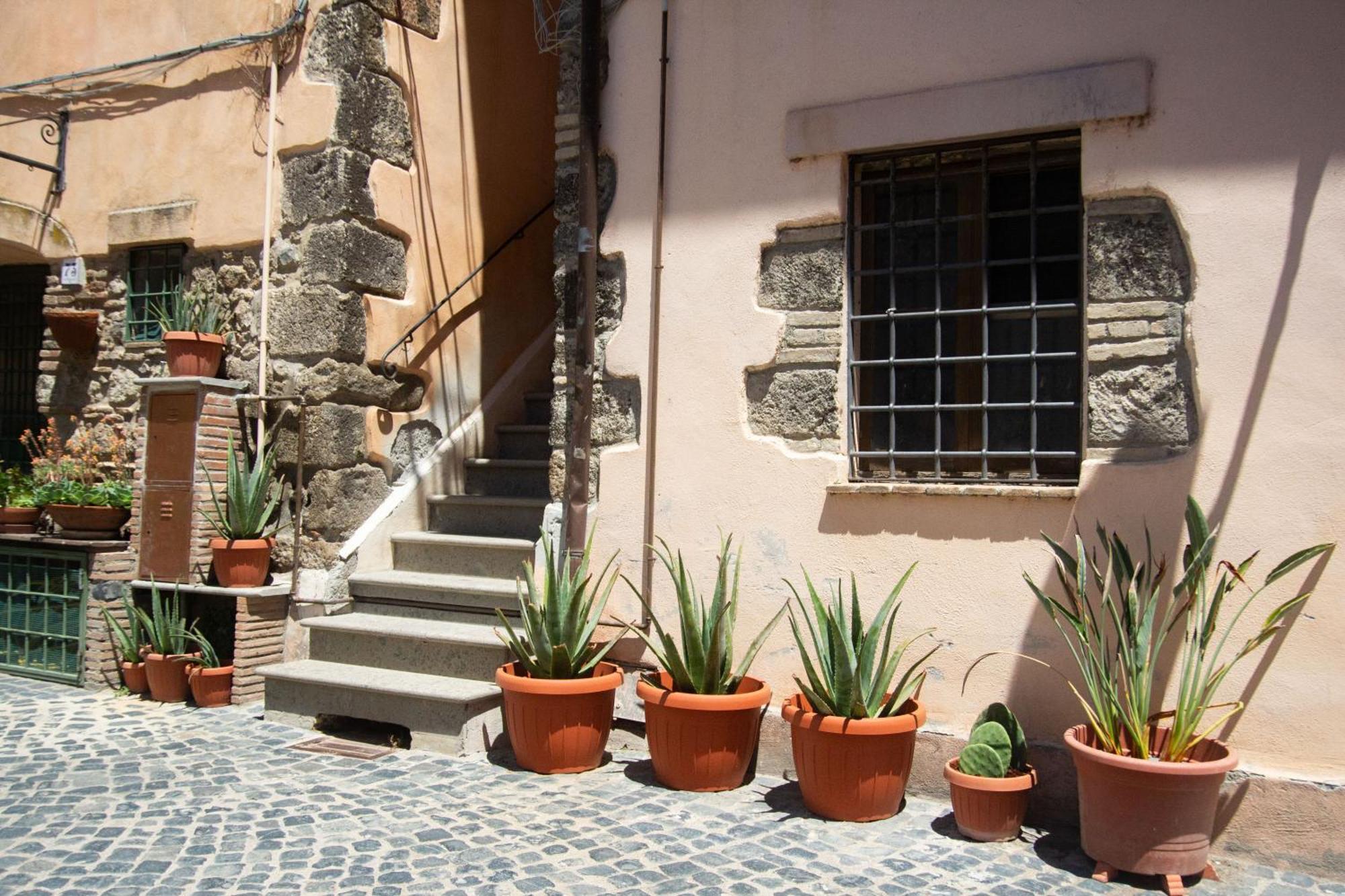 Finestra Sul Borgo Lägenhet Trevignano Romano Exteriör bild